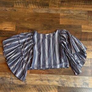 Holister Small Ruffle Sleeve Top